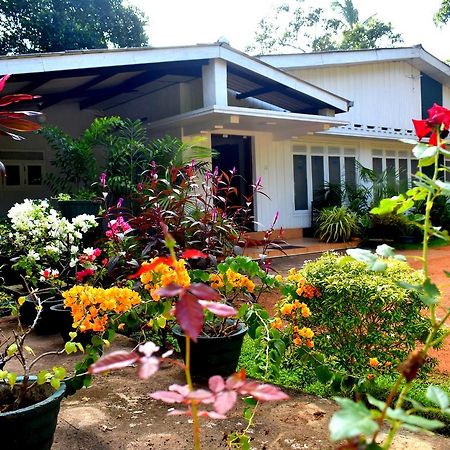 Molino Tourist Rest Anuradhapura Exterior foto