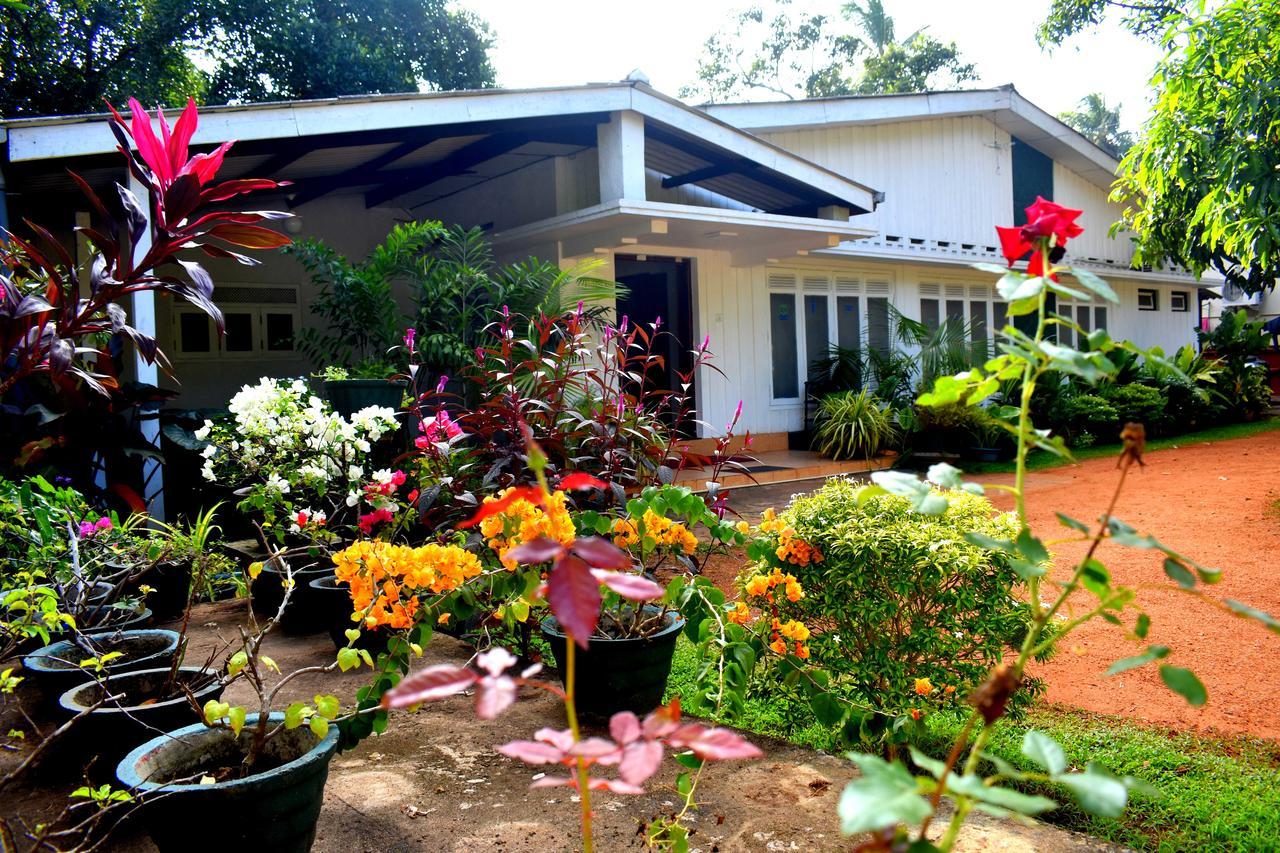 Molino Tourist Rest Anuradhapura Exterior foto